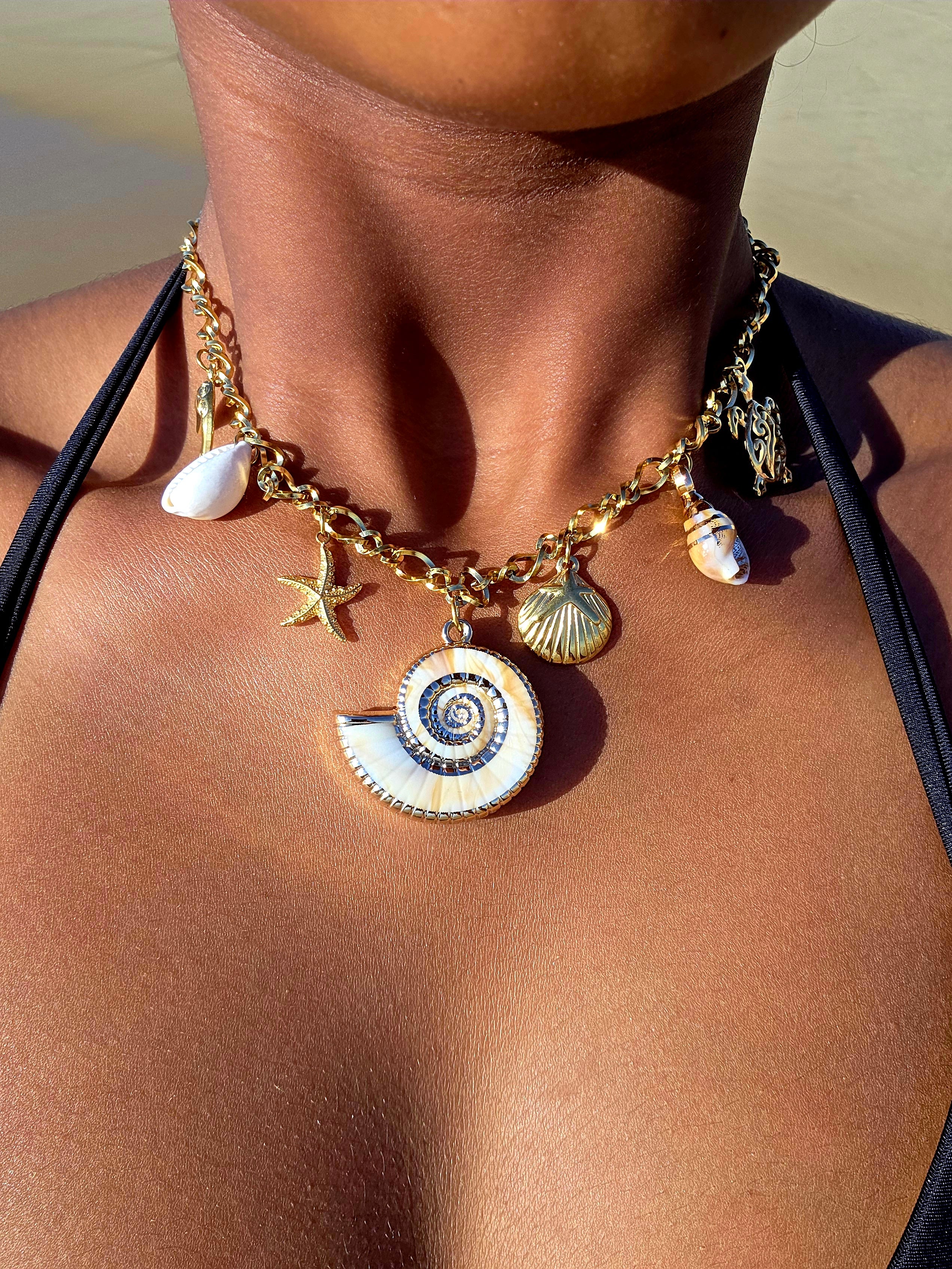 collier-acier-inox-agalega-coquillage
