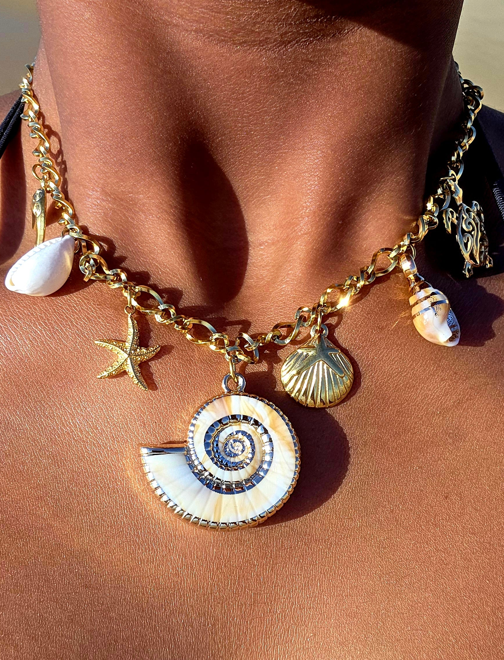 collier-acier-inox-agalega-porte